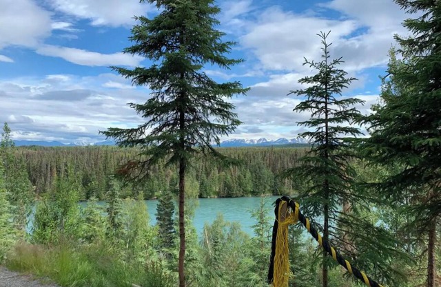 Cabin 1 on the Kenai River!
