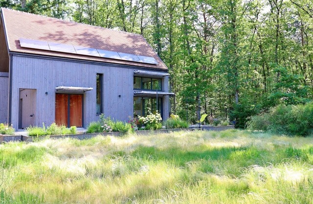 Cabin in the Fontainebleau Forest