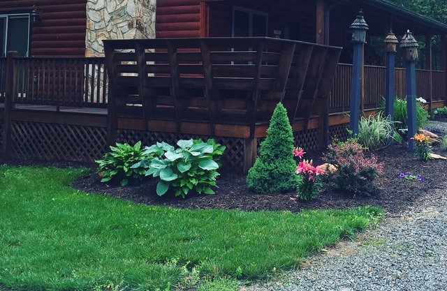 Cabin - Sparta, NC at Bear Creek - "Alegria"