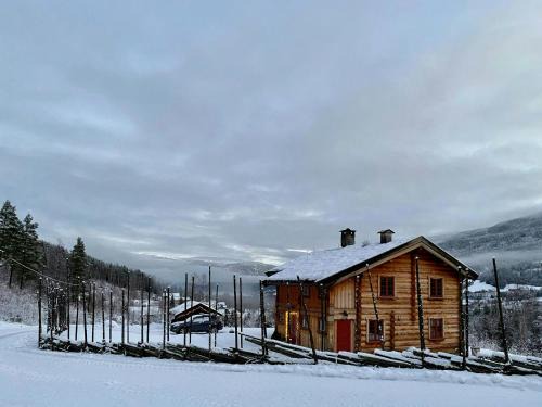 Cabin With Wooden Interior By Lake Tinnsjøen
