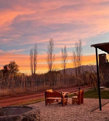 Cactus del Talampaya 1