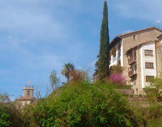 CAL TÒFONES, Baixos 2. Allotjament turístic a Borredà