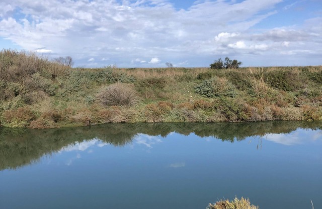 CAMARGUE: House in the village, with private pool, 200 m from the beach