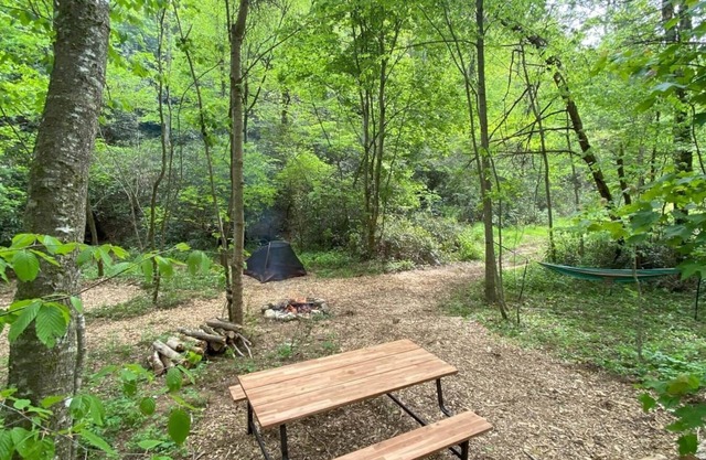 Campsite 2 - Creekside on 38 acres- biking and hiking trails