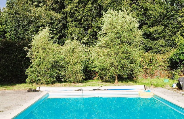 Campsite 5 min from Carhaix. Vieilles Charrues. shuttle and swimming pool included