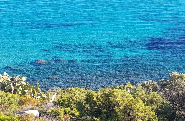 Capitana, 30m from sea, Summer/Winter, fully equipped, big garden, near Cagliari