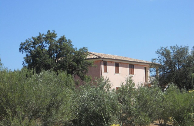 Cardedu detached cottage surrounded by olive and oak trees