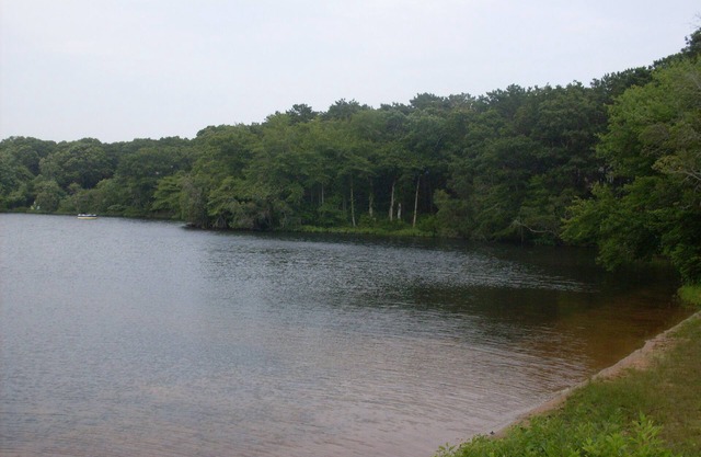 Carriage House, Swimming, Boating, Kayaking, just steps from your door.