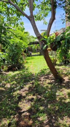Casa amplia con zonas verdes y cerca a la Basílica