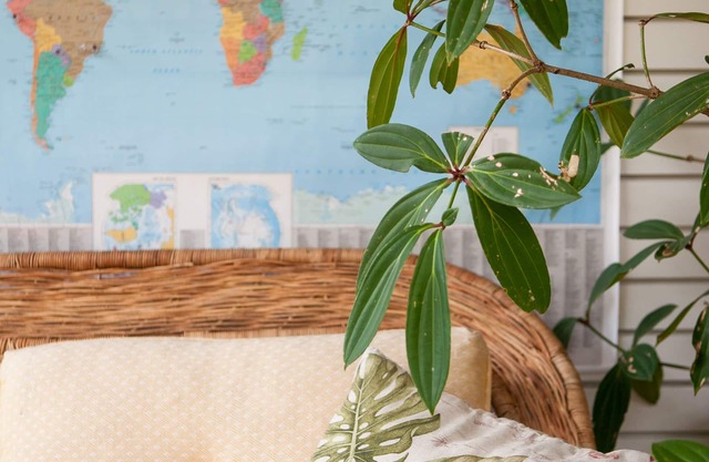 Casa da Buena Vista Apt 2, |4 Mins from NCU/town | Business Traveller Ready