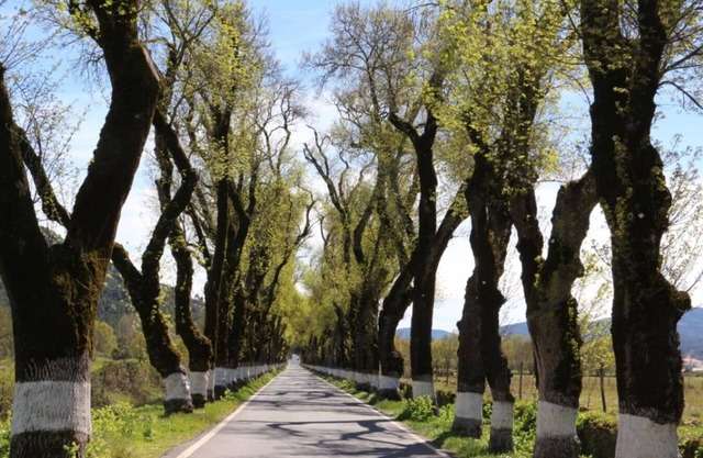 Casa da Portagem Marvão: Luxo e Conforto no Coração do Alentejo