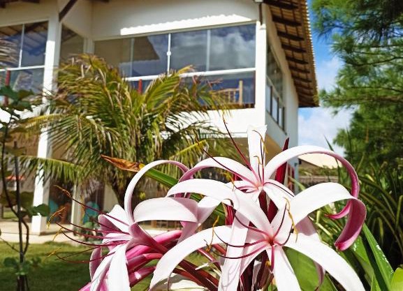 Casa do Capitao
