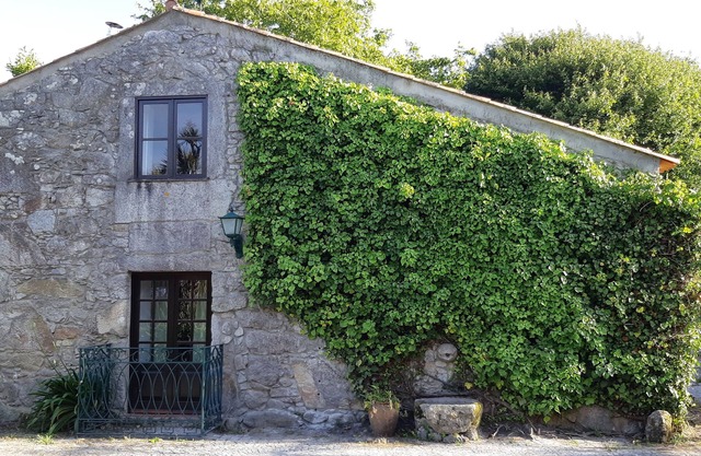 Casa Do General (afife) - Kleines Haus