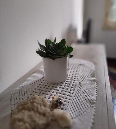 Casa in villaggio minerario vicino Massa Marittima