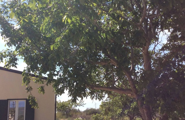 Casa Lorenza, a country house surrounded by greenery.