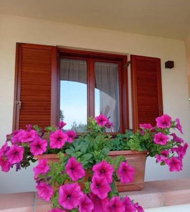 casa vacanze Lavanda