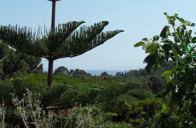Catering *, 68 m2, sea view