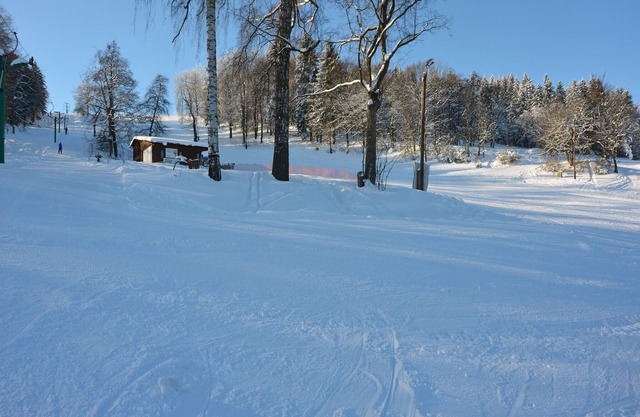 Chalet in Malá Skála near Ski Slopes