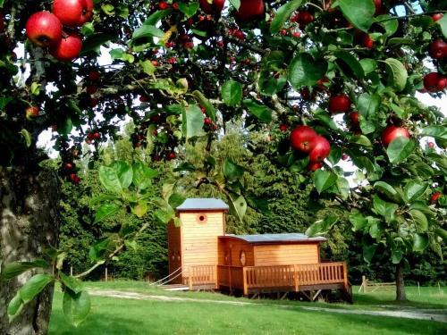 Chalet nature à Écouves avec animaux acceptés et Wi-Fi - FR-1-497-184
