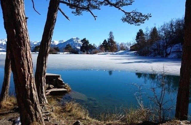 Chalet near reallon resort and lake (12people)
