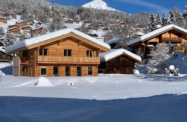 Chalet Vicky et Nino
