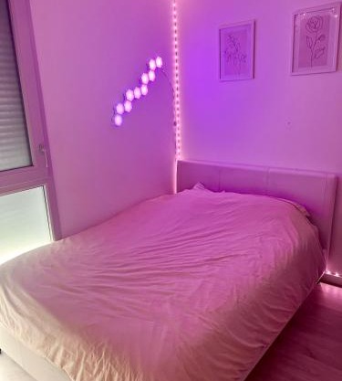 Chambre à louer avec salle de bain privative