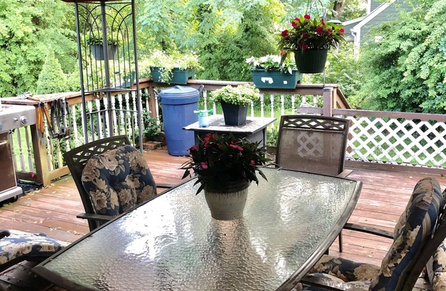 Charming 1 bedroom apartment close to downtown shopping, restaurants and beaches