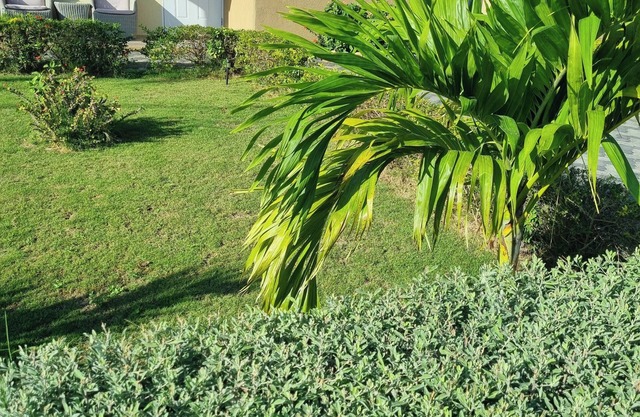 Charming 2-bed House in Portmore Gated Community