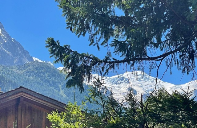 Charming chalet in Les Praz de Chamonix near the Flégère's cable car