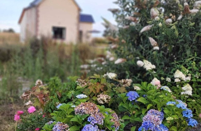 Charming cottage in the fields