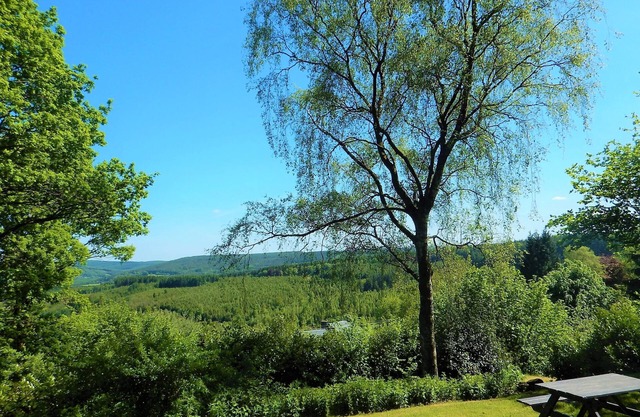 Charming cottage with breathtaking views of the Ardennes forest