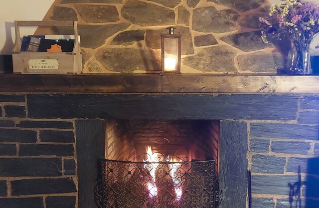 🏡 Charming cottage with fireplace & patio – natural pool just 500m away! 🐶🐱💗