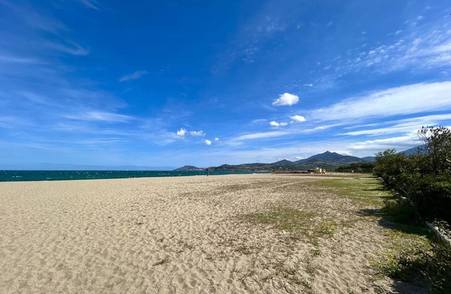 Charming Garden-Level T3, 50m Beach, Private Parking