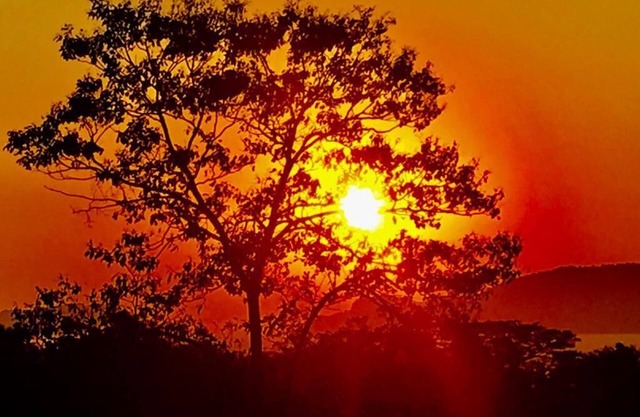 Charming House in Ilhabela