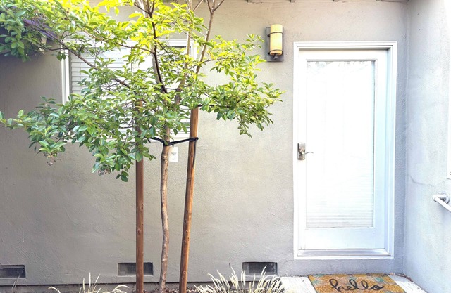 Charming Large Quiet 1-bedroom Guest Home in Palo Alto