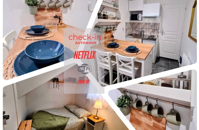 Charming Studio in the Heart of Sens/near Station