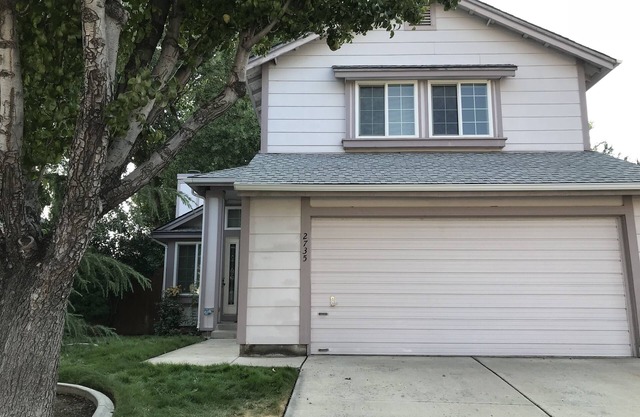 Cheerful, spacious house in mid Reno . Close to everything and dog friendly!