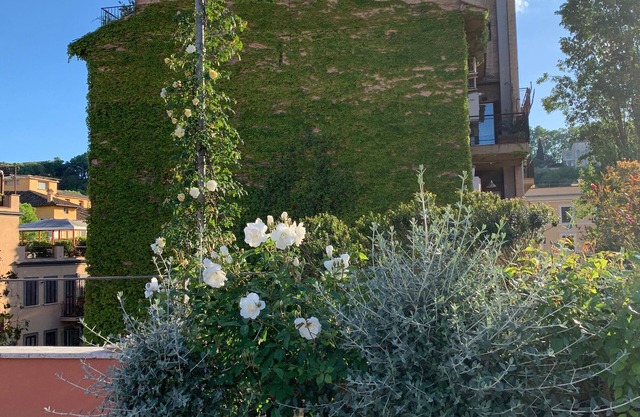 Chic and quiet Trastevere apparment with magnificent terrace and views.