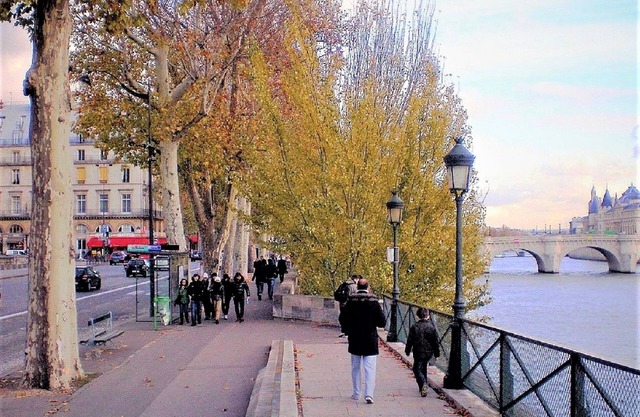 CHIC GREAT VIEW FACING LOUVRE/SEINE RIVER/PONT NEUF/TUILERIES/4mn PL VENDOME