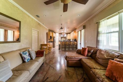 Chic Renovated Oasis- Disney & Universal Nearby home