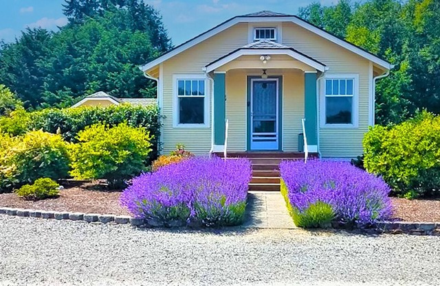 Chien Noir: House on Five Acres, Olympic Mountain Views, Pet Friendly