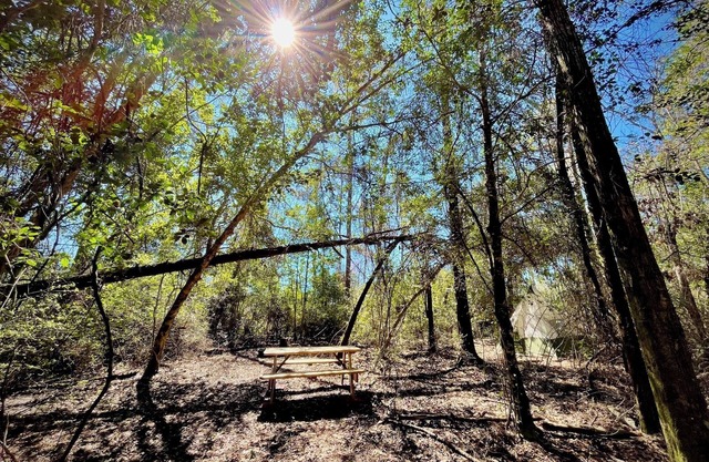 Christian Retreat Campsite #2 - Cozy Canopy