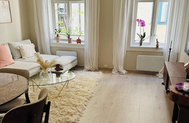 Clean and Quiet apartment in Oslo city
