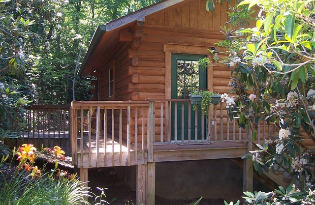 Come Relax in Our Log Cabin in a Private, Wooded Setting