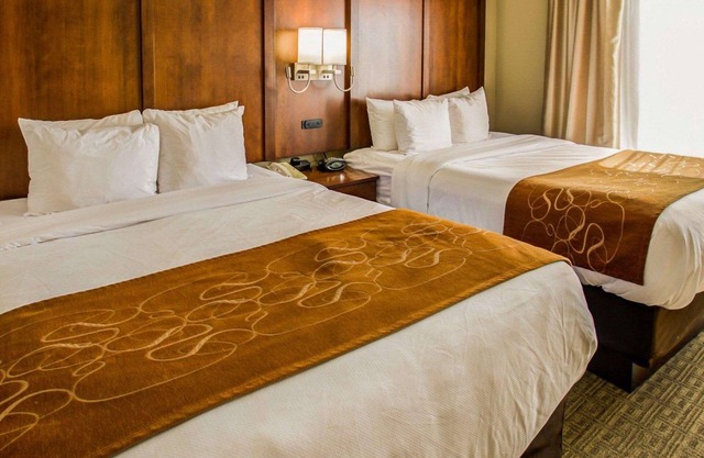 Comfort Suites Georgetown