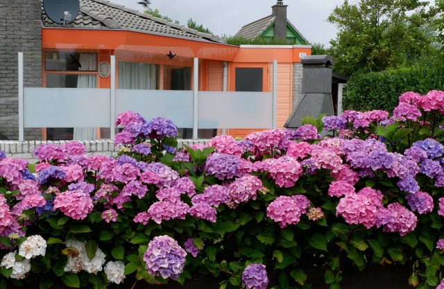 Comfortable,1 level vacation home on North Sea coast, only 300 m from the beach