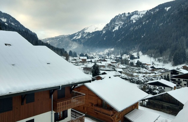 Comfortable apartment close to the slopes and shuttle service