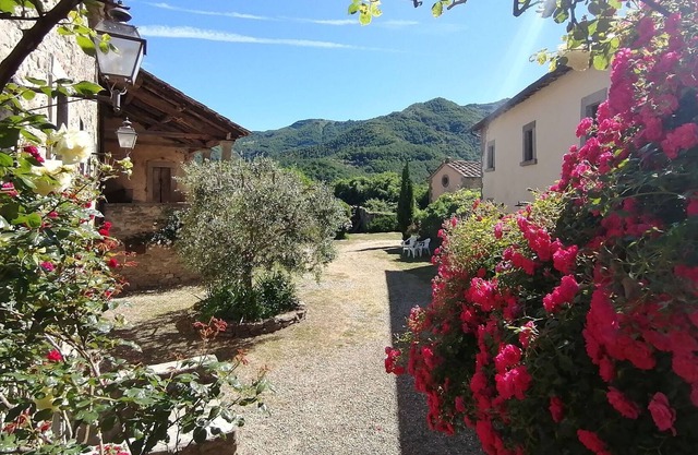 Comfy home in San Godenzo with Lake nearby