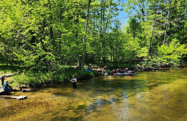 Completely remodeled cabin on 18 acres - across from Little Manistee River!