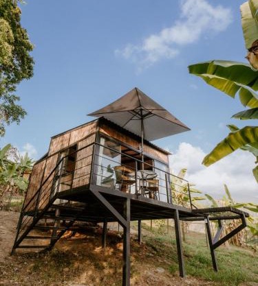 Copoazú Glamping